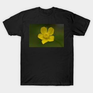 Yellow flower with rain drop T-Shirt